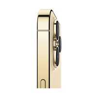 Apple iPhone 13 Pro Or 256 Go 5G